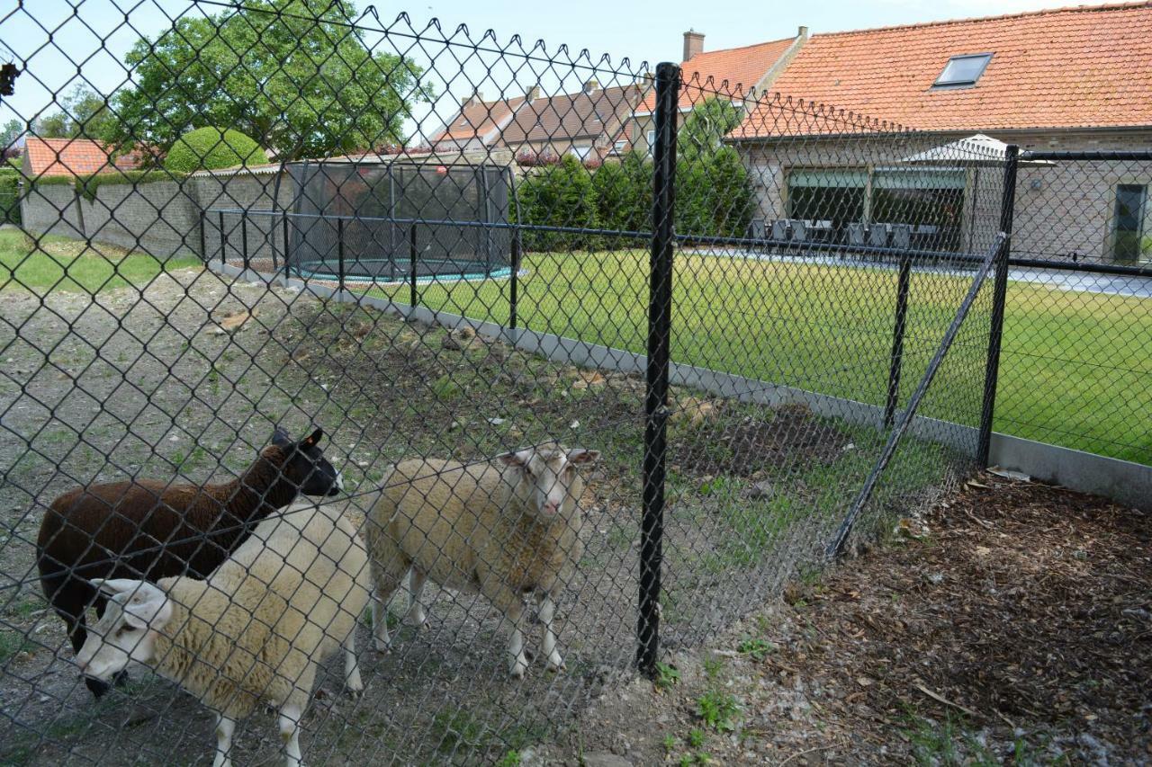 Vakantiewoning Den Landman Nieuwpoort Kültér fotó